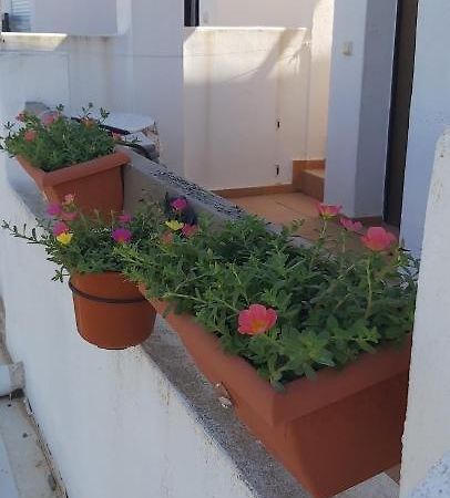 Condado De Alhama, Naranjos 8 Daire Alhama de Murcia Dış mekan fotoğraf