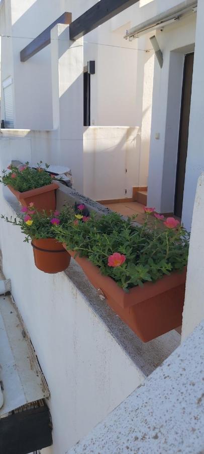 Condado De Alhama, Naranjos 8 Daire Alhama de Murcia Dış mekan fotoğraf
